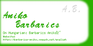 aniko barbarics business card